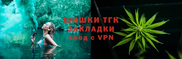 индика Зерноград