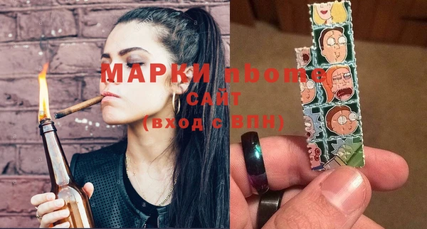 индика Зерноград