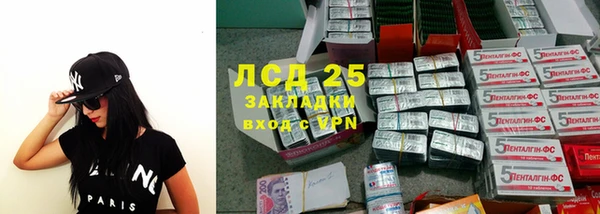 индика Зерноград