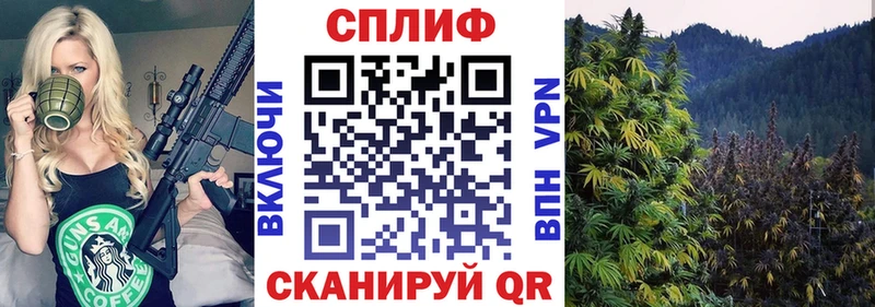 Канабис Amnesia  Купить закладки  Сычёвка 